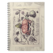 Botanische Insect Flower Illustration van krab Notitieboek (Voorkant)