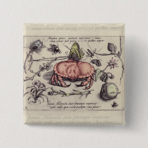 Botanische Insect Flower Illustration van krab Vierkante Button 5,1 Cm