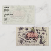 Botanische Insect Flower Illustration van krab Visitekaartje (Voorkant / Achterkant)