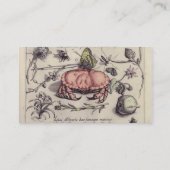 Botanische Insect Flower Illustration van krab Visitekaartje (Achterkant)