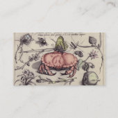 Botanische Insect Flower Illustration van krab Visitekaartje (Achterkant)
