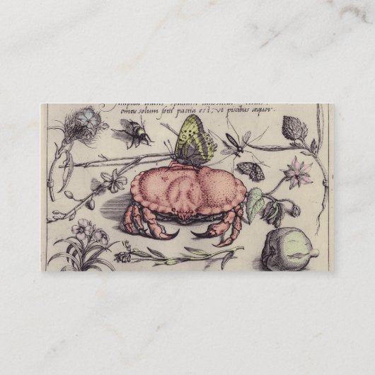 Botanische Insect Flower Illustration van krab Visitekaartje (Achterkant)