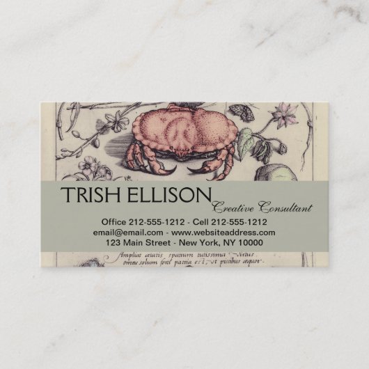 Botanische Insect Flower Illustration van krab Visitekaartje (Voorkant)