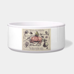 Botanische Insect Flower Illustration van krab Voerbakje