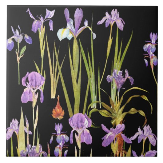 Botanische Iris Flowers Floral Irises Tegeltje (Voorkant)