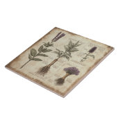  botanische kaart kruiden lavendel tegeltje (Zijkant)