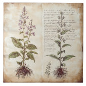  botanische kaart kruiden tegeltje (Voorkant)