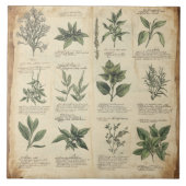 botanische kaart kruiden tegeltje (Voorkant)