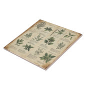botanische kaart kruiden tegeltje (Zijkant)