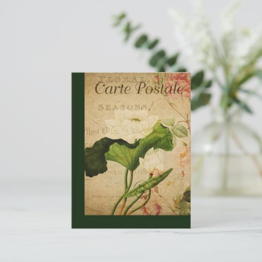  botanische Kaart Lotus (Staand voorkant)