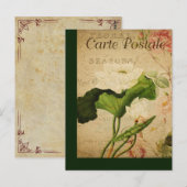  botanische Kaart Lotus (Voorkant / Achterkant)