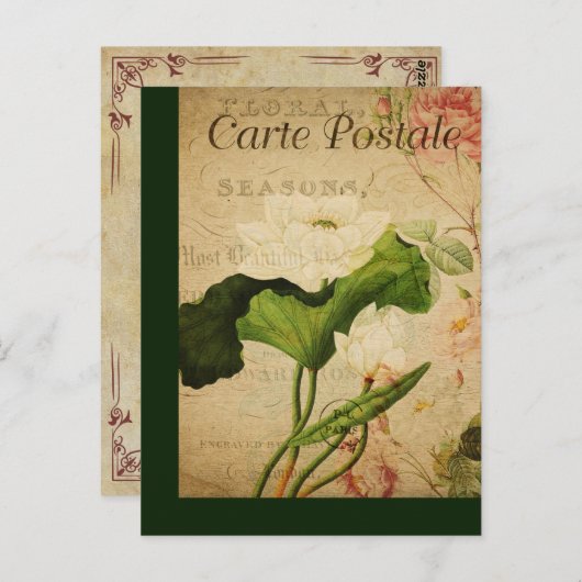  botanische Kaart Lotus (Voorkant / Achterkant)