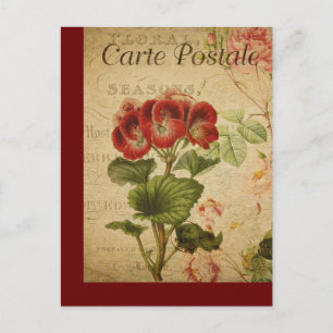 botanische Kaart van de Franse Post Pelargonium
