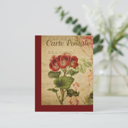  botanische Kaart van de Franse Post Pelargonium (Staand voorkant)