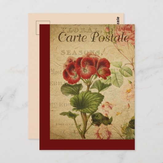  botanische Kaart van de Franse Post Pelargonium (Voorkant / Achterkant)