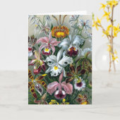 Botanische Kaart vintage Haekel (Gele Bloem)
