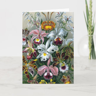 Botanische Kaart vintage Haekel