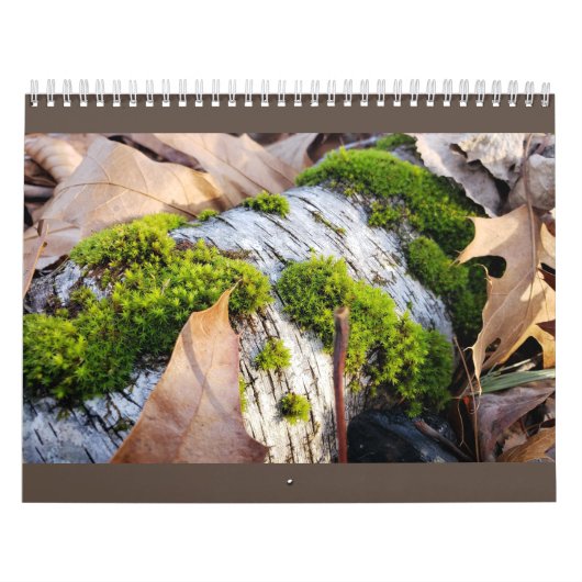 Botanische kalender (Hoes)