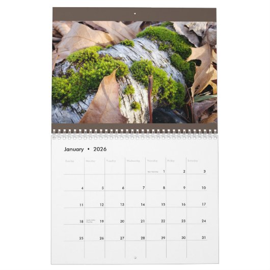 Botanische kalender (Jan 2026)