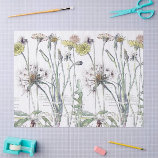 Botanische katten Vloerbloem Ventilatorweefsel Tissuepapier (Craft)