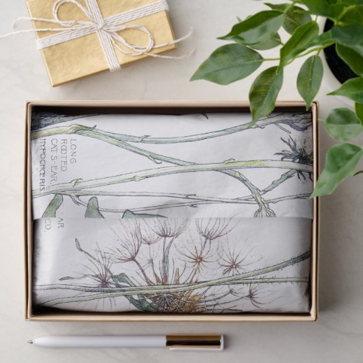 Botanische katten Vloerbloem Ventilatorweefsel Tissuepapier (Geschenk)