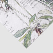 Botanische katten Vloerbloem Ventilatorweefsel Tissuepapier (Detail)