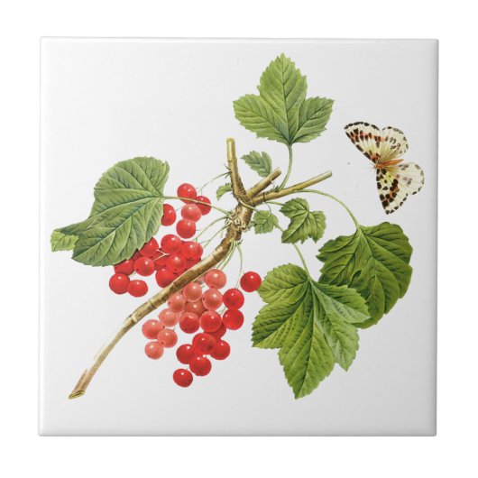Botanische keramische tegels tegeltje (Voorkant)