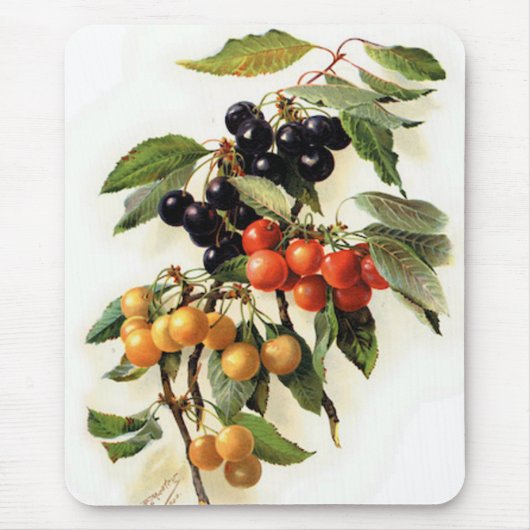 Botanische kersen afdrukken muismat (Voorkant)