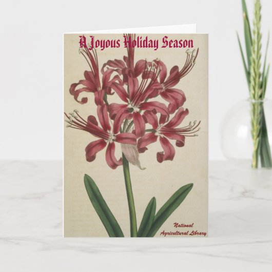 Botanische kerst Kaart (Voorkant)