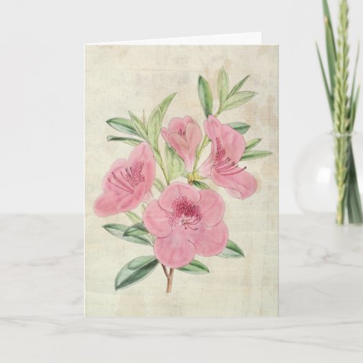 Botanische Kinghorn Azalea Kaart (Voorkant)