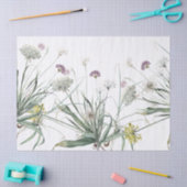 Botanische knoflook Plant Allium Tissue Paper Tissuepapier (Craft)