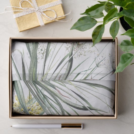 Botanische knoflook Plant Allium Tissue Paper Tissuepapier (Geschenk)