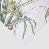 Botanische knoflook Plant Allium Tissue Paper Tissuepapier (Detail)