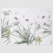 Botanische knoflook Plant Allium Tissue Paper Tissuepapier (Voorkant)