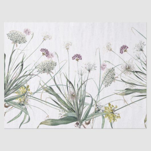Botanische knoflook Plant Allium Tissue Paper Tissuepapier (Voorkant)