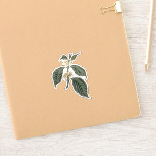 Botanische Koffie Plant Boheemse Elegantie Bloemen Sticker