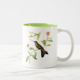  botanische kolibrie, wilde vogelkoffie mok