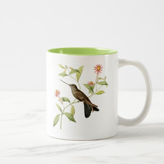  botanische kolibrie, wilde vogelkoffie mok (Rechts)