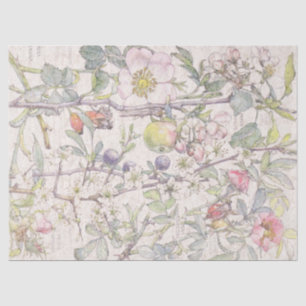 Botanische krab Apple Flowers Blossom Tissue Paper Tissuepapier