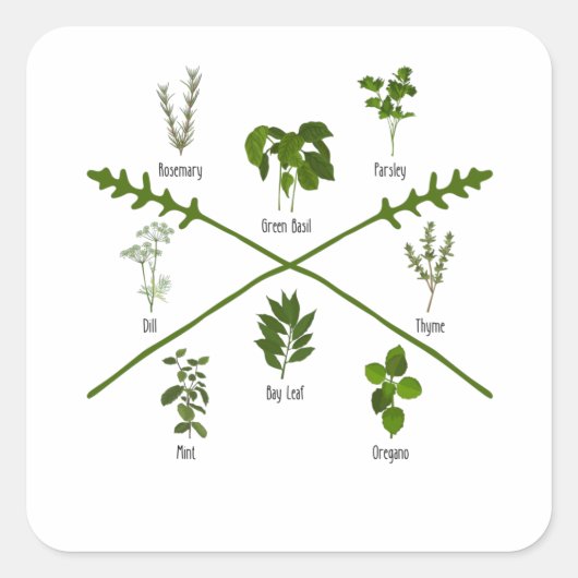 Botanische kruiden Herbalist Gift Garden Birthday Vierkante Sticker (Voorkant)