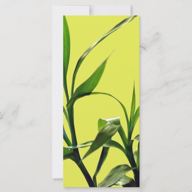 botanische kunst bamboe groen blad bladwijzer (Voorkant)