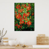 Botanische kunst: Brandende struik en emu struiksl Poster (Keuken)