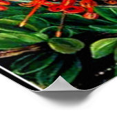 Botanische kunst: Brandende struik en emu struiksl Poster (Hoek)