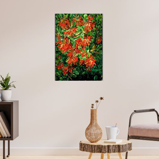 Botanische kunst: Brandende struik en emu struiksl Poster (Woonkamer 3)