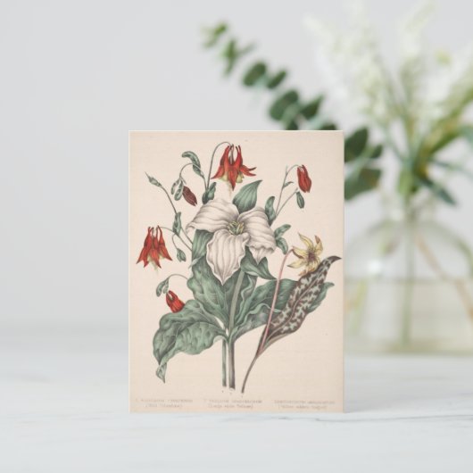  botanische kunst briefkaart (Staand voorkant)