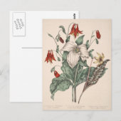  botanische kunst briefkaart (Voorkant / Achterkant)
