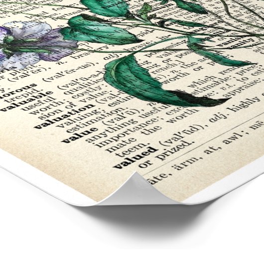  Botanische Kunst Druk Violet Old Page Poster af (Hoek)