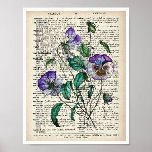 Botanische Kunst Druk Violet Old Page Poster af (Voorkant)