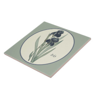 Botanische Kunst Iris Blossom Cameo Tegeltje