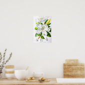  botanische kunst poster (Keuken)